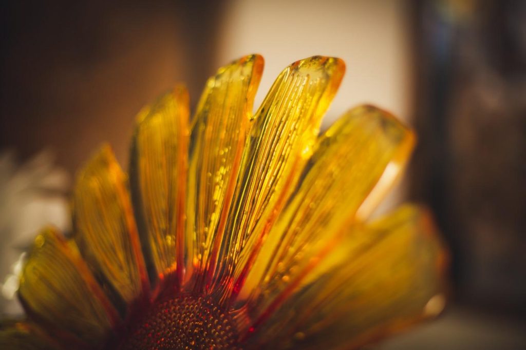 WhatsApp Image 2025-03-31 at 15.55.02 (11)